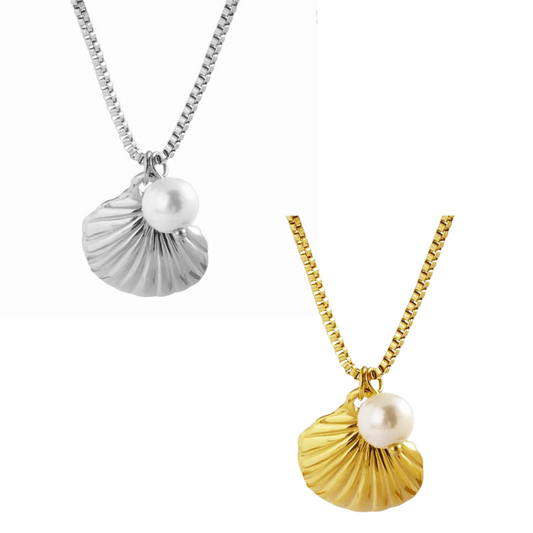 Seashell necklace