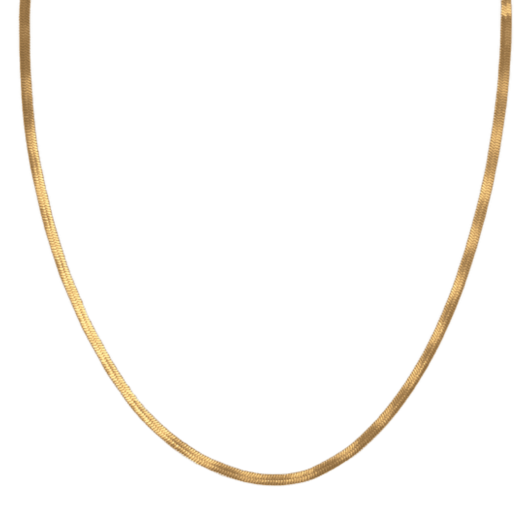 Collier Snake