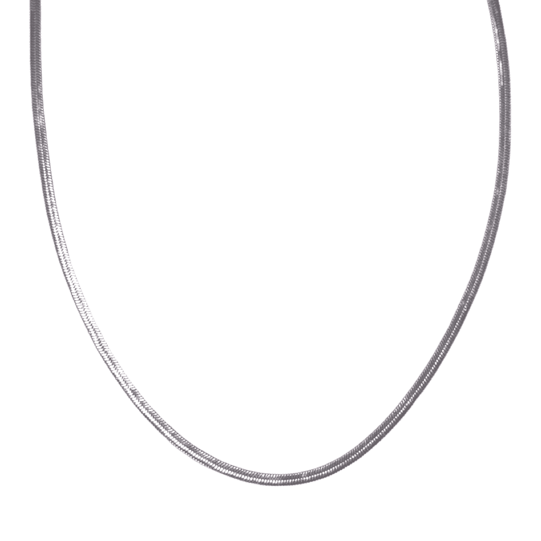 Collier Snake